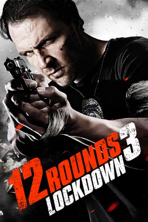 12 Rounds 3 Lockdown 2015 Hindi Dual Audio [780MB] HD Poster Download - Filmyzilla