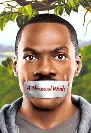 A Thousand Words (2012) Hindi Dual Audio [800MB] HD Poster Download - Filmyzilla