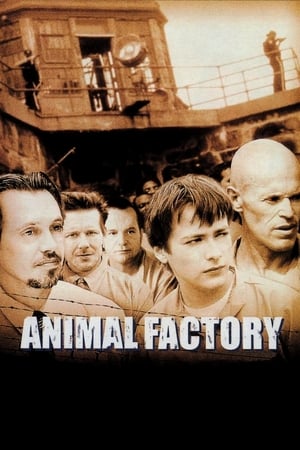 Animal Factory (2000) Hindi Dual Audio 300MB HD Poster Download - Filmyzilla