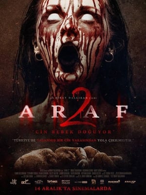 Araf 2 2019 Hindi Dual Audio [750MB] HD Poster Download - Filmyzilla