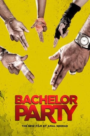Bachelor Party (2012) (Hindi – Malayalam) Dual Audio 400MB HD Poster Download - Filmyzilla