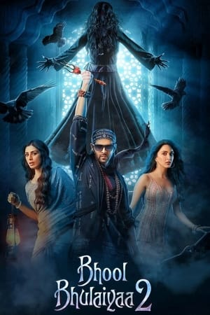 Bhool Bhulaiyaa 2 2022 Hindi Movie – HD Poster Download - Filmyzilla