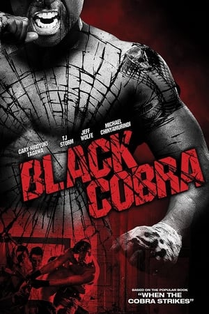 Black Cobra (2012) Hindi Dual Audio [830MB] HD Poster Download - Filmyzilla