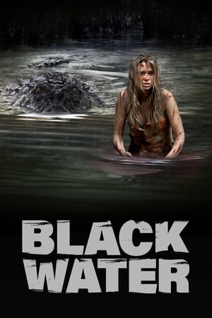 Black Water (2007) Hindi Dual Audio 300MB HD Poster Download - Filmyzilla