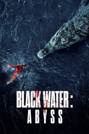 Black Water: Abyss (2020) Hindi Dual Audio [950MB] HD Poster Download - Filmyzilla