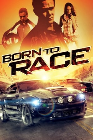 Born to Race 2011 Hindi Dual Audio [610MB] HD Poster Download - Filmyzilla