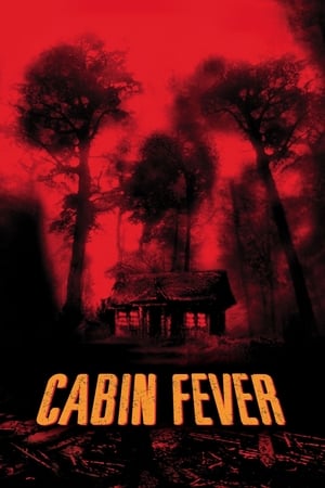 Cabin Fever (2002) Hindi Dual Audio 350MB HD Poster Download - Filmyzilla