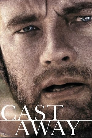 Cast Away 2000 Hindi Dual Audio [1GB] ESubs HD Poster Download - Filmyzilla