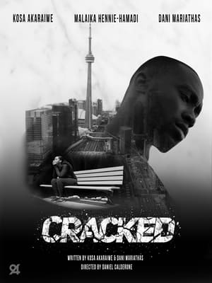 Cracked (2022) Hindi Dual Audio – HD Poster Download - Filmyzilla