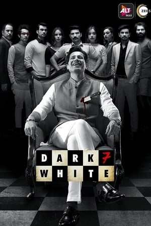 Dark 7 White 2020 Season 1 Hindi Web Series | [COMPLETE] HD Poster Download - Filmyzilla