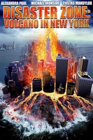 Disaster Zone Volcano in New York 2006 Hindi Dual Audio [860MB] HD Poster Download - Filmyzilla
