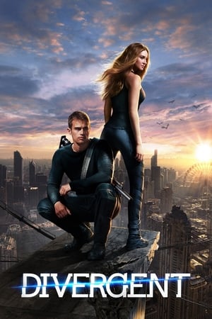 Divergent (2014) Hindi Dual Audio 450MB HD Poster Download - Filmyzilla