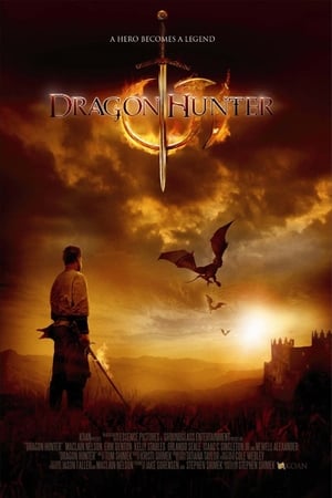 Dragon Hunter (2009) Hindi Dual Audio 300MB HD Poster Download - Filmyzilla