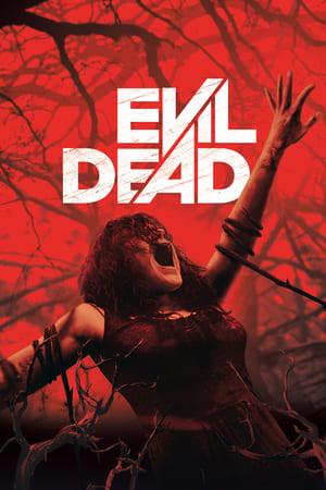 Evil Dead 2013 Hindi Dual Audio [760MB] HD Poster Download - Filmyzilla