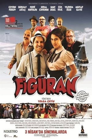 Figuran (2015) Hindi Dual Audio [950MB] HD Poster Download - Filmyzilla