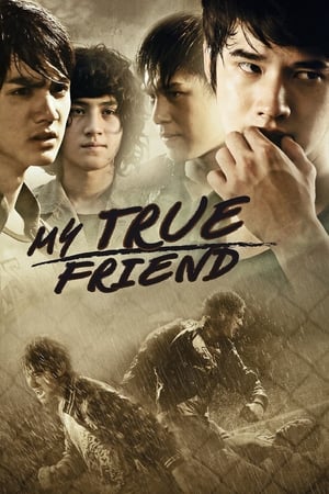 Friends Never Die (2012) Hindi dual Audio 340MB HD Poster Download - Filmyzilla
