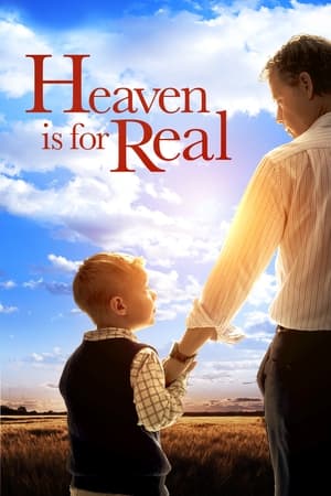 Heaven Is for Real (2014) Hindi Dual Audio [850MB] ESubs HD Poster Download - Filmyzilla