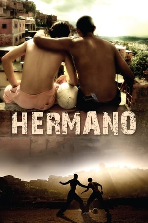 Hermano (2010) Hindi Dual Audio [1.2GB] HD Poster Download - Filmyzilla