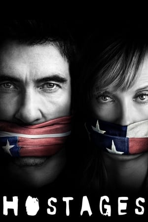 Hostages (2019) Hindi Web Series[Complete] HD Poster Download - Filmyzilla