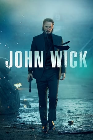 John Wick (2014) Hindi Dual Audio 300MB ESubs HD Poster Download - Filmyzilla