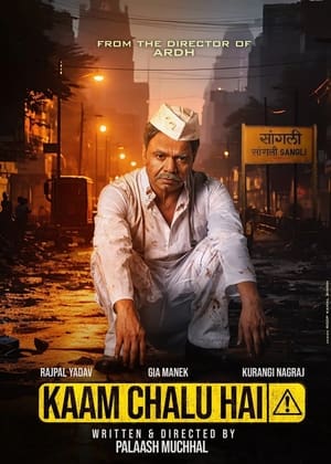 Kaam Chalu Hai 2024 Hindi – – HD Poster Download - Filmyzilla