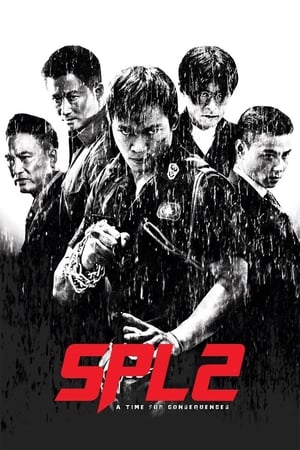 Kill Zone 2 (2015) Hindi Dual Audio [1.5GB] ESubs HD Poster Download - Filmyzilla