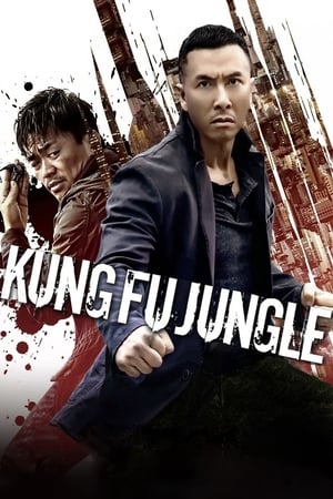 Kung Fu Jungle (2014) Hindi Dual Audio [800MB] HD Poster Download - Filmyzilla