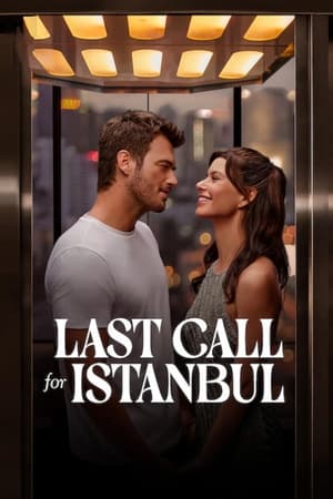 Last Call for Istanbul 2023 Hindi Dual Audio – HD Poster Download - Filmyzilla