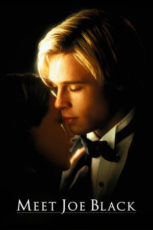 Meet Joe Black 1998 Dual Audio Hindi 550MB HD Poster Download - Filmyzilla