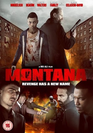 Montana (2014) Hindi Dual Audio 350MB HD Poster Download - Filmyzilla