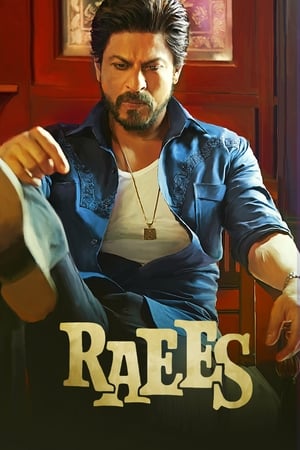 Raees (2017) 400MB Full Movie Download HD Poster Download - Filmyzilla