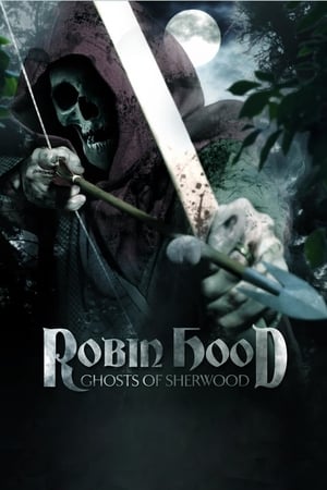 Robin Hood: Ghosts of Sherwood (2012) Hindi Dual Audio [1GB] HD Poster Download - Filmyzilla