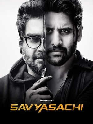 Savyasachi (2018) Hindi Dual Audio [1.2GB] HD Poster Download - Filmyzilla