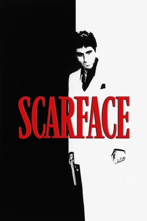Scarface (1983) Dual Audio Hindi 500MB HD Poster Download - Filmyzilla