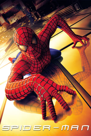 Spider Man 2002 100mb Hindi Dual Audio movie Download HD Poster Download - Filmyzilla
