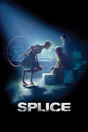 Splice 2009 Hindi Dual Audio 330MB HD Poster Download - Filmyzilla