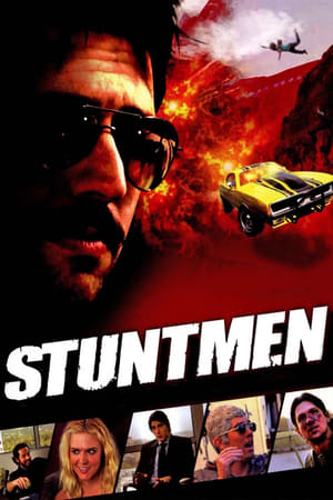 Stuntmen 2009 Hindi Dual Audio 300MB HD Poster Download - Filmyzilla