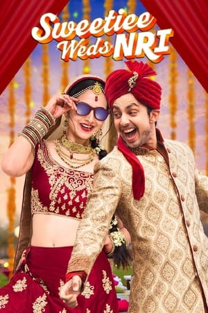 Sweetiee Weds NRI 2017 160mb hindi movie HDTVRip Download HD Poster Download - Filmyzilla