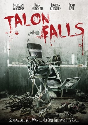Talon Falls (2017) Hindi Dual Audio [1GB] HD Poster Download - Filmyzilla