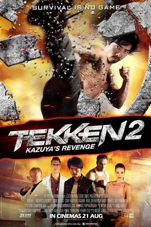 Tekken Kazuyas Revenge 2014 Hindi Dual Audio [900MB] HD Poster Download - Filmyzilla