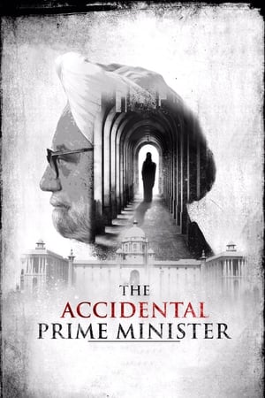 The Accidental Prime Minister (2019) Hindi Movie [1GB] HD Poster Download - Filmyzilla