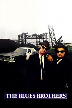 The Blues Brothers (1980) Hindi Dual Audio Movie - 1.2GB HD Poster Download - Filmyzilla