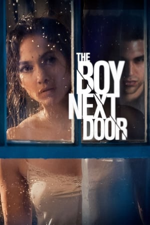 The Boy Next Door 2015 Hindi Dual Audio 300MB HD Poster Download - Filmyzilla