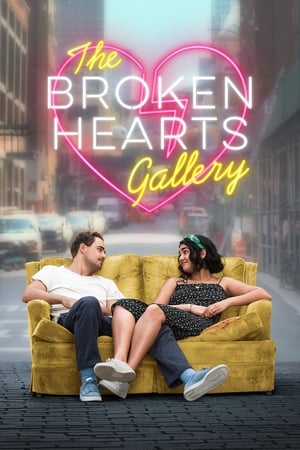 The Broken Hearts Gallery (2020) Hindi Dual Audio 340MB HD Poster Download - Filmyzilla