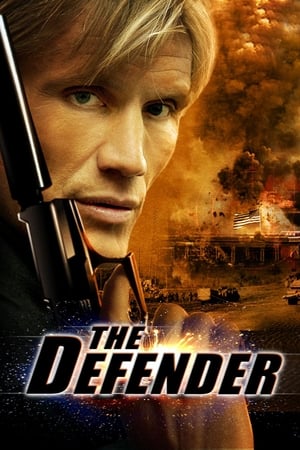 The Defender (2004) Hindi Dual Audio 300MB HD Poster Download - Filmyzilla