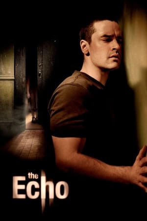 The Echo (2008) Hindi Dual Audio 300MB HD Poster Download - Filmyzilla