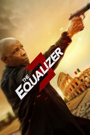 The Equalizer 3 2023 Hindi (ORG) Dual Audio – HD Poster Download - Filmyzilla