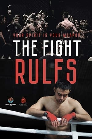 The Fight Rules 2017 Hindi Dual Audio 260MB HD Poster Download - Filmyzilla