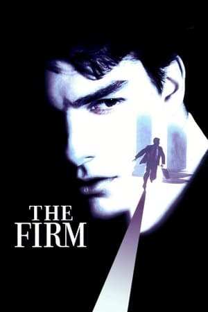 The Firm (1993) Hindi Dual Audio 450MB HD Poster Download - Filmyzilla