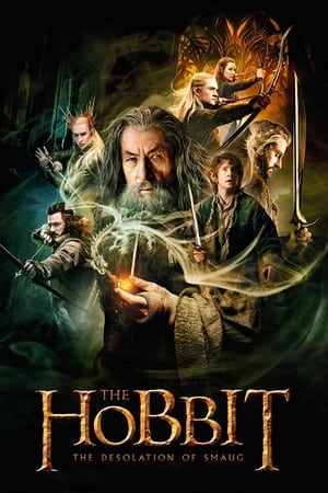 The Hobbit The Desolation of Smaug (2013) Hindi Dual Audio Movie [200MB] HD Poster Download - Filmyzilla